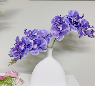 北欧的花有哪些 北欧的花有哪些