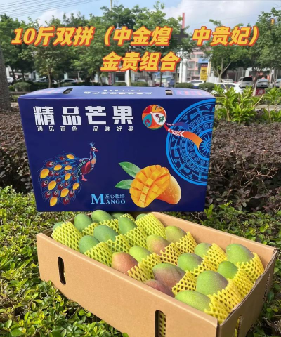 百优一号芒 百优一号芒