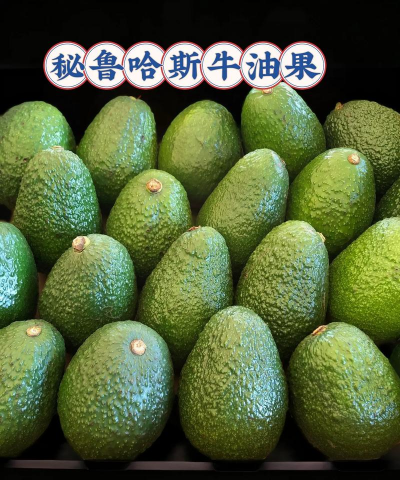 哈斯牛油果 哈斯牛油果