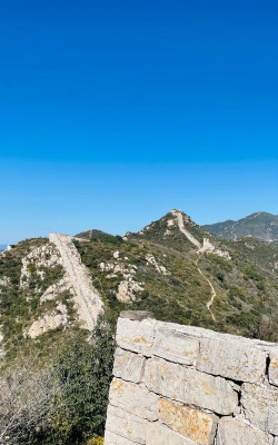 山顶的花有哪些 山顶的花有哪些