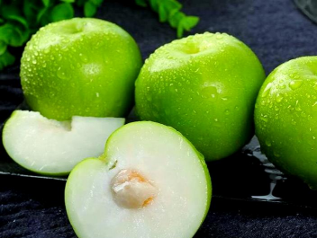 台湾大青枣 台湾大青枣