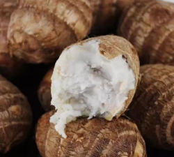 靖江香沙芋 靖江香沙芋