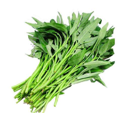 青叶空心菜 青叶空心菜