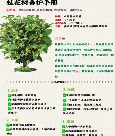 贵花有哪些用处 贵花有哪些用处