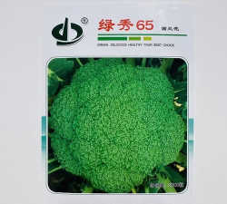 秀绿西蓝花 秀绿西蓝花