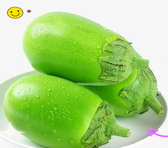 启东青皮长茄 启东青皮长茄