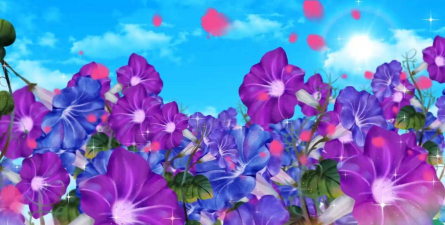 花的配乐有哪些 花的配乐有哪些