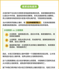 兰花怎么移栽 兰花怎么移栽