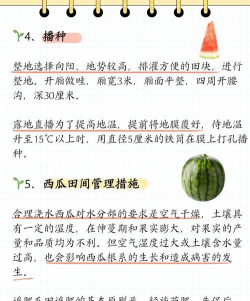 南方西瓜什么时候种植最好 南方西瓜什么时候种植最好