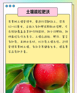 想种植苹果树怎么种植 想种植苹果树怎么种植