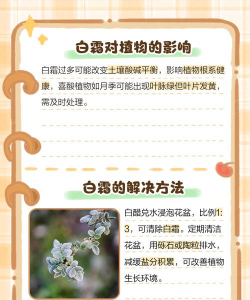土壤起白霜怎么办 土壤起白霜怎么办