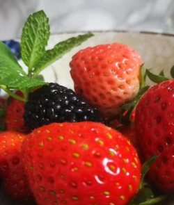 种植大户大棚种植方案怎么写 种植大户大棚种植方案怎么写