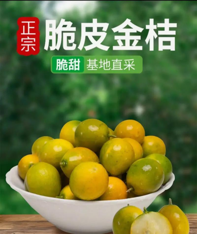 脆皮金桔产地是哪里的脆皮金桔哪里的最正宗 脆皮金桔产地是哪里的脆皮金桔哪里的最正宗