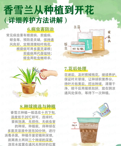 如何养兰花的小窍门 如何养兰花的小窍门