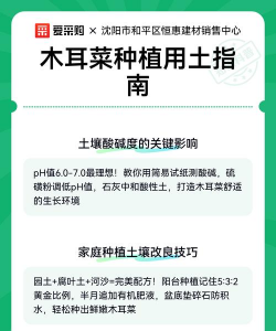 扦插种植木耳菜怎么种植 扦插种植木耳菜怎么种植