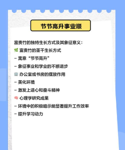 富贵竹花语 富贵竹花语