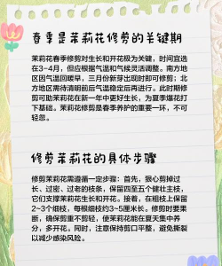 花卉什么时候剪枝最好 花卉什么时候剪枝最好