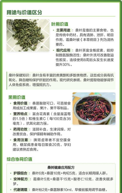 怎么辨别桑叶树 怎么辨别桑叶树