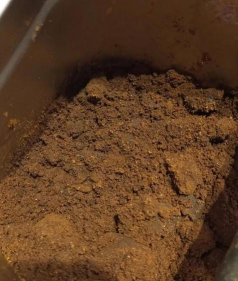 不适合咖啡渣的植物 不适合咖啡渣的植物