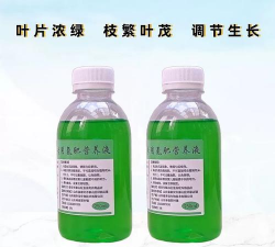 给滴水观音上什么肥料 给滴水观音上什么肥料