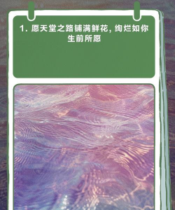 代表再见告别的花语 代表再见告别的花语