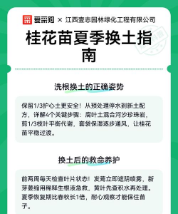 什么时候给桂花换土 什么时候给桂花换土