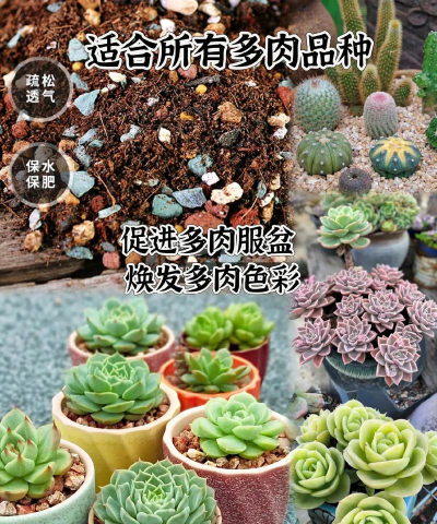 多肉土都有些什么 多肉土都有些什么