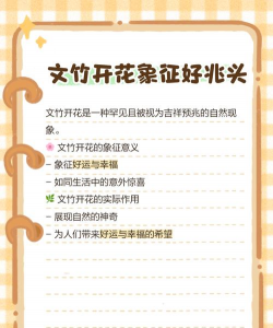 文竹花是有什么寓意 文竹花是有什么寓意