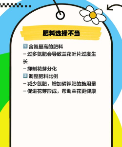 兰花不开花怎么办怎么养 兰花不开花怎么办怎么养