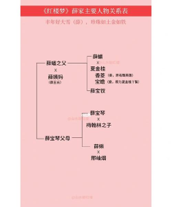 红楼梦四大家族是哪四个姓氏 红楼梦四大家族是哪四个姓氏