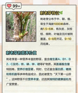 种植刺嫩芽树怎么种植的 种植刺嫩芽树怎么种植的