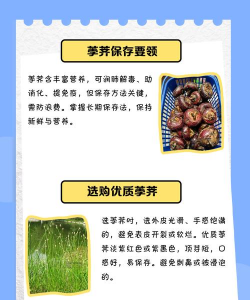 荸荠怎么存放(荸荠储存技巧) 荸荠怎么存放(荸荠储存技巧)