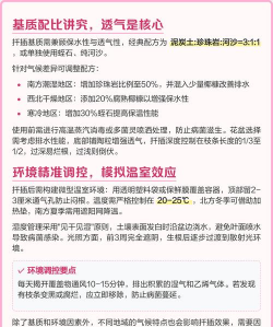 剪下的玫瑰花枝怎样才能栽活 剪下的玫瑰花枝怎样才能栽活