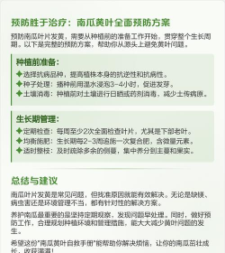 南瓜叶发黄怎么处理 南瓜叶发黄怎么处理