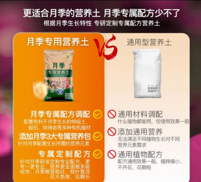 盆栽月季用什么营养土 盆栽月季用什么营养土