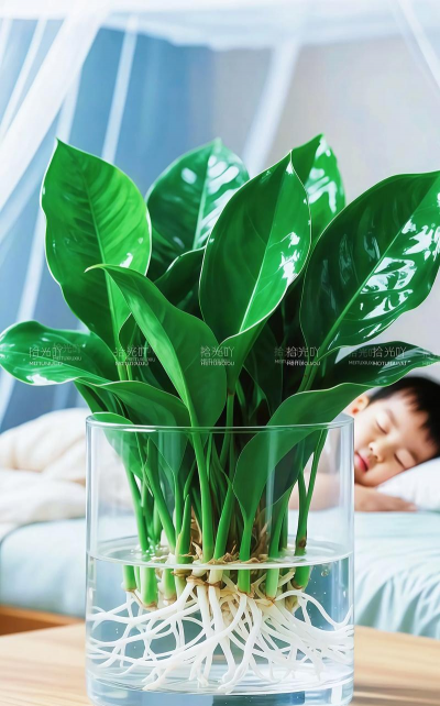 种盆景用什么土好 种盆景用什么土好