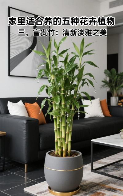 家庭养花用什么花盆好 家庭养花用什么花盆好