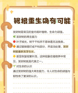 发财树锯断会生根吗 发财树锯断会生根吗