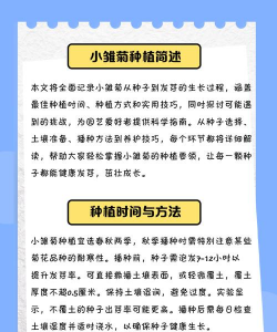 野菊花种植种子怎么种植 野菊花种植种子怎么种植