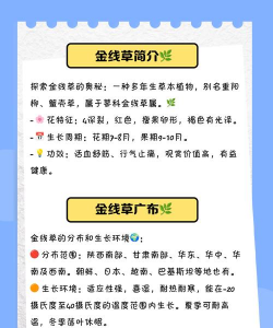 金线莲这种植物怎么种植 金线莲这种植物怎么种植