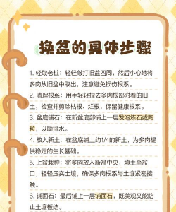 多肉如何换盆换土 多肉如何换盆换土