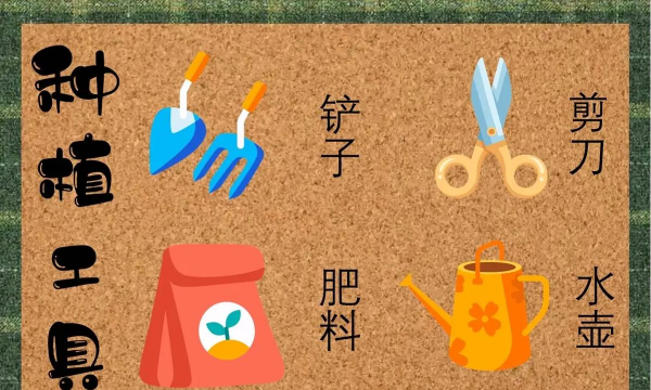 多肉的生长过程 多肉的生长过程