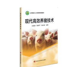 高效养猪技术 高效养猪技术