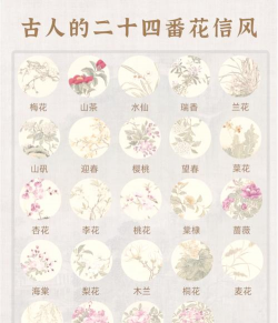 节气花朵有哪些花 节气花朵有哪些花
