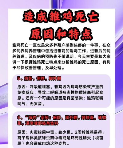 引起雏鸡死亡的原因有哪些? 引起雏鸡死亡的原因有哪些?