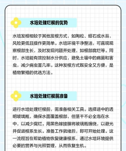 球根为什么会烂根 球根为什么会烂根