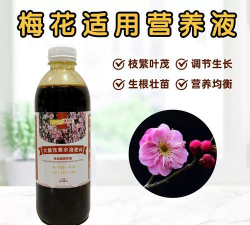 盆栽梅花施什么肥好 盆栽梅花施什么肥好