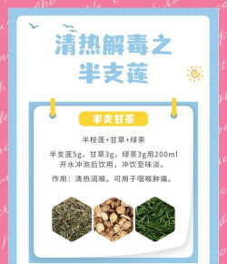 半支莲的养护方法和特点 半支莲的养护方法和特点