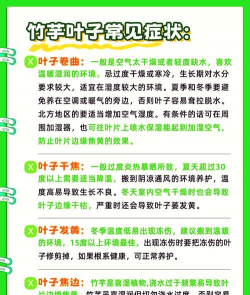 孔雀竹芋为什么干叶尖 孔雀竹芋为什么干叶尖