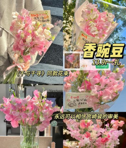 香豌豆的养护要点 香豌豆的养护要点